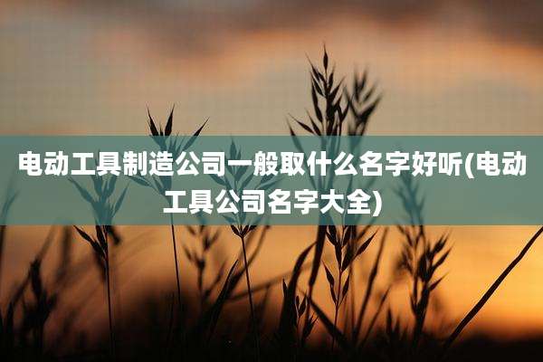 电动工具制造公司一般取什么名字好听(电动工具公司名字大全)