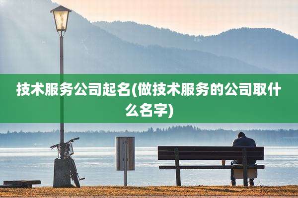 技术服务公司起名(做技术服务的公司取什么名字)