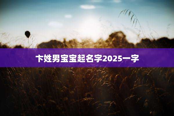 卞姓男宝宝起名字2025一字
