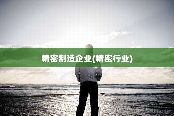 精密制造企业(精密行业)