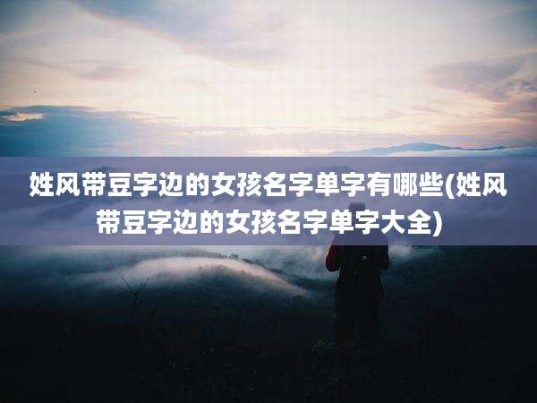 姓风带豆字边的女孩名字单字有哪些(姓风带豆字边的女孩名字单字大全)