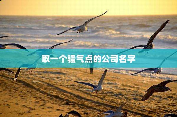 取一个骚气点的公司名字