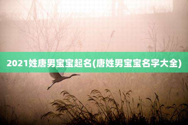 2021姓唐男宝宝起名(唐姓男宝宝名字大全)