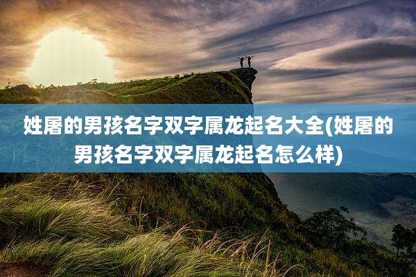姓屠的男孩名字双字属龙起名大全(姓屠的男孩名字双字属龙起名怎么样)
