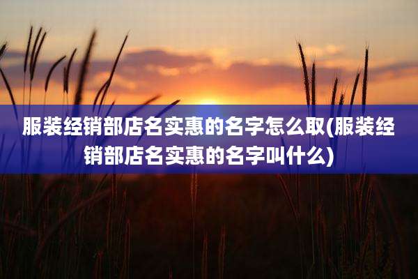 服装经销部店名实惠的名字怎么取(服装经销部店名实惠的名字叫什么)