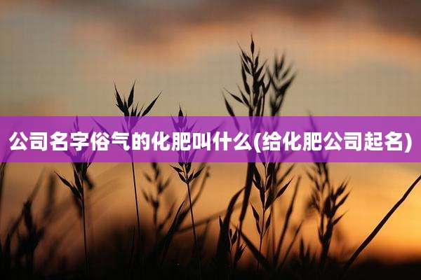 公司名字俗气的化肥叫什么(给化肥公司起名)