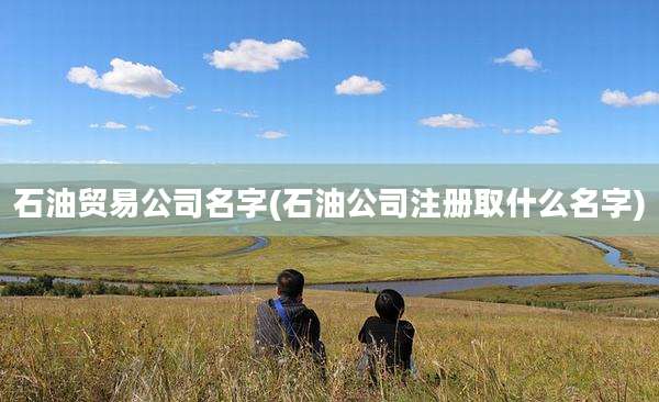 石油贸易公司名字(石油公司注册取什么名字)