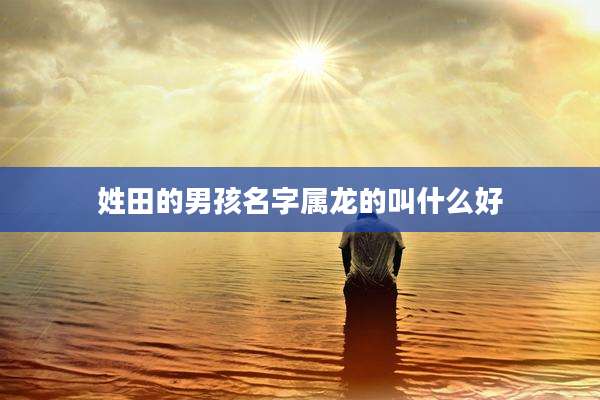 姓田的男孩名字属龙的叫什么好