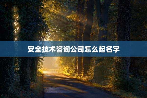 安全技术咨询公司怎么起名字