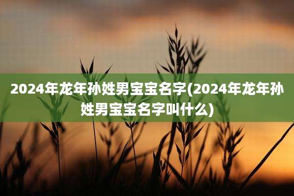 2024年龙年孙姓男宝宝名字(2024年龙年孙姓男宝宝名字叫什么)