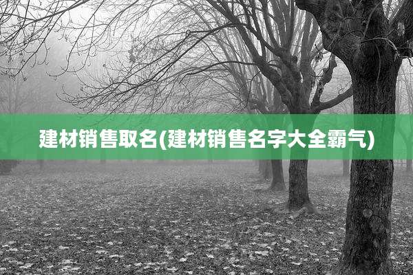 建材销售取名(建材销售名字大全霸气)