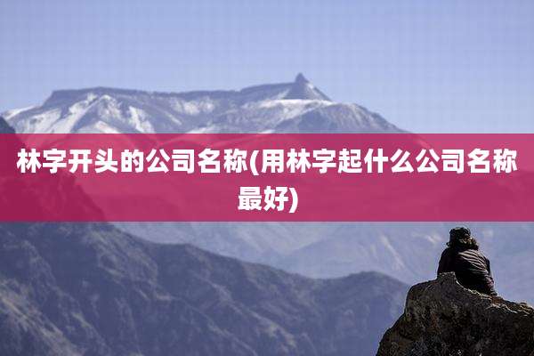 林字开头的公司名称(用林字起什么公司名称最好)