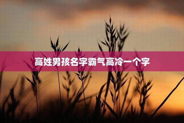 高姓男孩名字霸气高冷一个字
