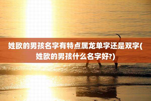 姓欧的男孩名字有特点属龙单字还是双字(姓欧的男孩什么名字好?)