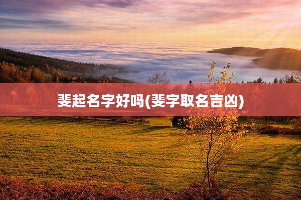 斐起名字好吗(斐字取名吉凶)