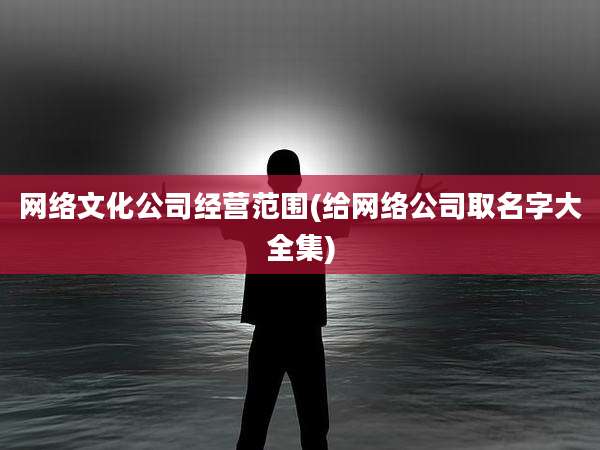 网络文化公司经营范围(给网络公司取名字大全集)