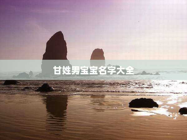 甘姓男宝宝名字大全