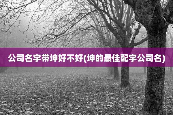 公司名字带坤好不好(坤的最佳配字公司名)