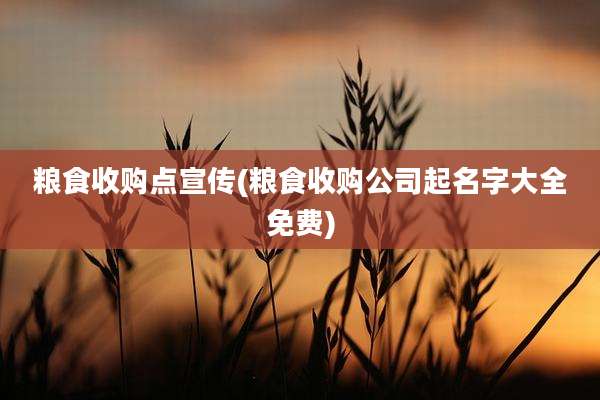 粮食收购点宣传(粮食收购公司起名字大全免费)