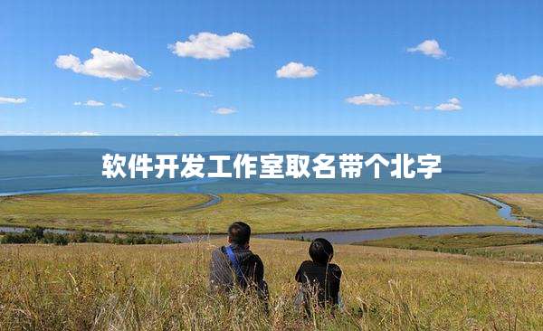 软件开发工作室取名带个北字