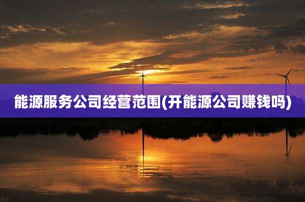 能源服务公司经营范围(开能源公司赚钱吗)