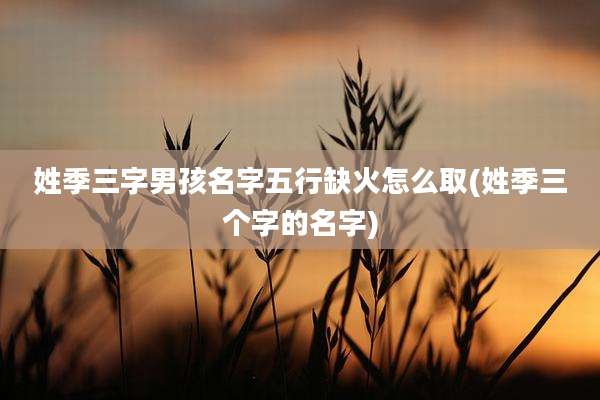 姓季三字男孩名字五行缺火怎么取(姓季三个字的名字)