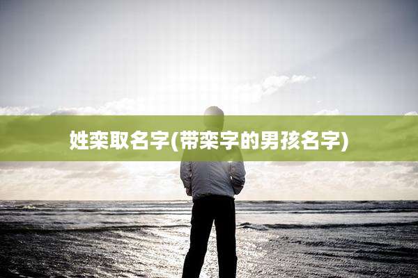 姓栾取名字(带栾字的男孩名字)