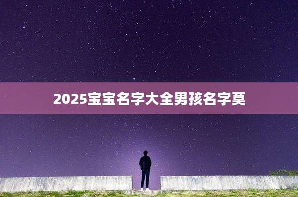2025宝宝名字大全男孩名字莫