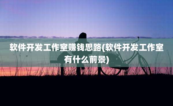 软件开发工作室赚钱思路(软件开发工作室有什么前景)
