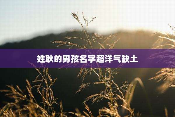 姓耿的男孩名字超洋气缺土