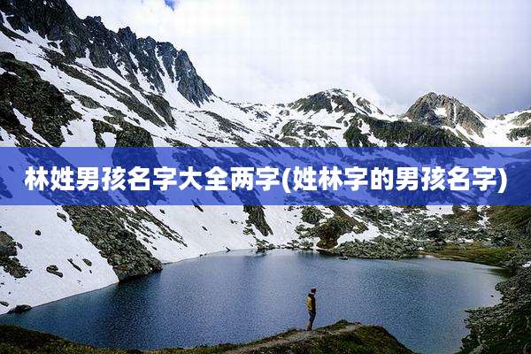 林姓男孩名字大全两字(姓林字的男孩名字)