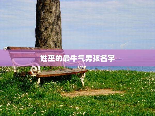 姓巫的最牛气男孩名字