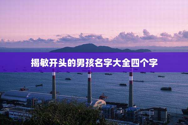 揭敏开头的男孩名字大全四个字