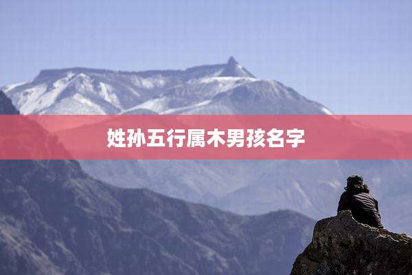 姓孙五行属木男孩名字