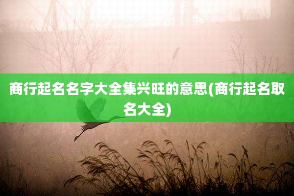 商行起名名字大全集兴旺的意思(商行起名取名大全)