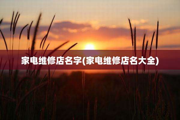 家电维修店名字(家电维修店名大全)