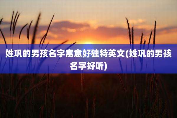 姓巩的男孩名字寓意好独特英文(姓巩的男孩名字好听)