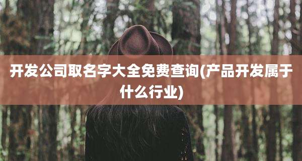 开发公司取名字大全免费查询(产品开发属于什么行业)