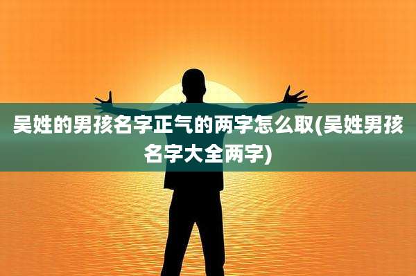 吴姓的男孩名字正气的两字怎么取(吴姓男孩名字大全两字)