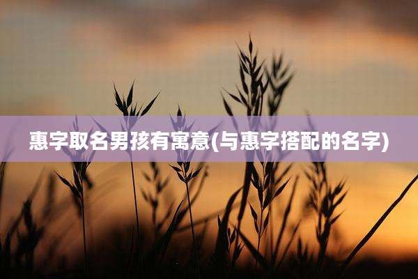 惠字取名男孩有寓意(与惠字搭配的名字)