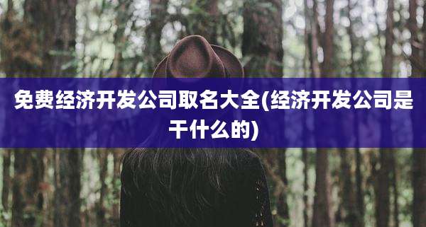免费经济开发公司取名大全(经济开发公司是干什么的)