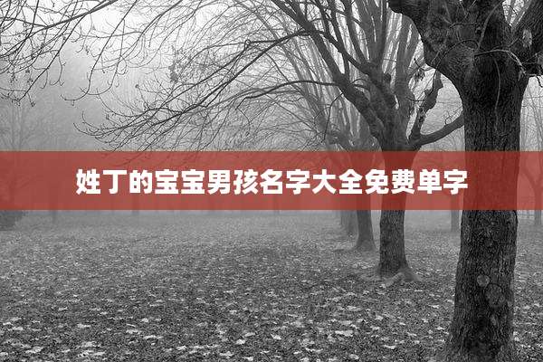 姓丁的宝宝男孩名字大全免费单字