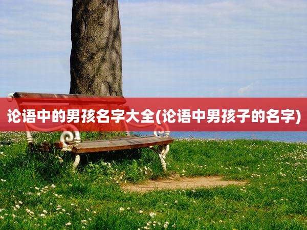 论语中的男孩名字大全(论语中男孩子的名字)