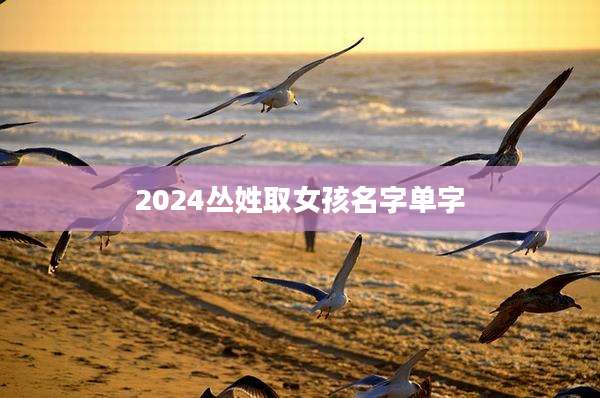 2024丛姓取女孩名字单字