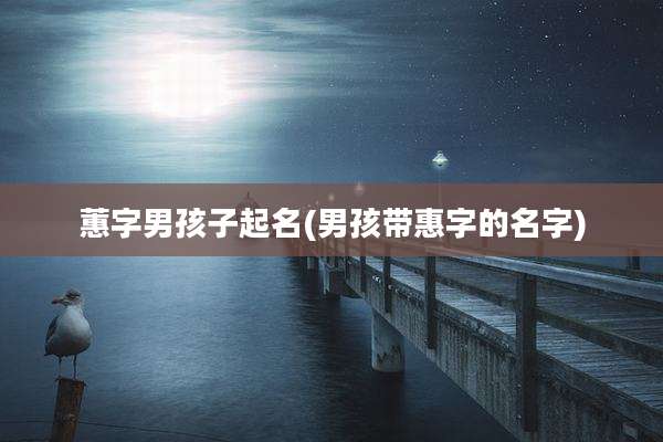 蕙字男孩子起名(男孩带惠字的名字)