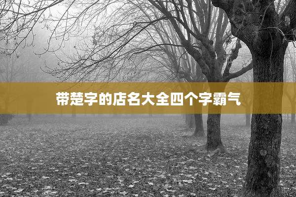 带楚字的店名大全四个字霸气