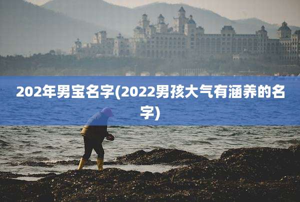 202年男宝名字(2022男孩大气有涵养的名字)