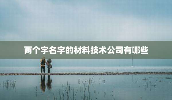 两个字名字的材料技术公司有哪些