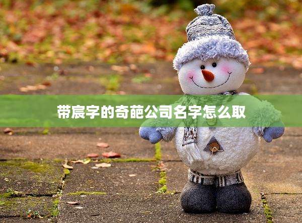 带宸字的奇葩公司名字怎么取
