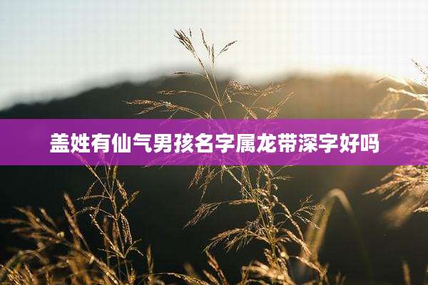 盖姓有仙气男孩名字属龙带深字好吗